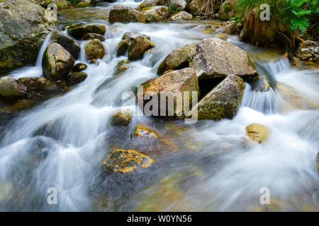 Lange Belichtung von Wasser zwischen die Felsen in Stanisoara Fluss fließt, Retezat Gebirge, in der Nähe der Pietrele Hütte, in Rumänien. Stockfoto