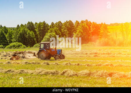 Einen alten Traktor schaltet in den gemähten Heu an einem sonnigen Sommermorgen für eine bessere Trocknung. Futter für Kühe für den Winter. Stockfoto