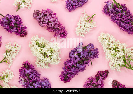 Muster aus Lila Blume Filialen auf Pastell rosa Hintergrund. Romantische abstrakte syringa Blumenmuster. Ansicht von oben. Flach. Stockfoto