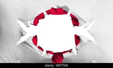 Japan Flagge mit einem großen Loch, weißer Hintergrund, 3D-Rendering Stockfoto