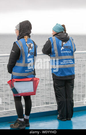 Wale und Delfine beobachten, die von Mitgliedern der Orca auf der Brittany Ferries Fähre / Kreuzfahrtschiff der Cap Finistere Überfahrt von Santander nach Portsmouth Stockfoto