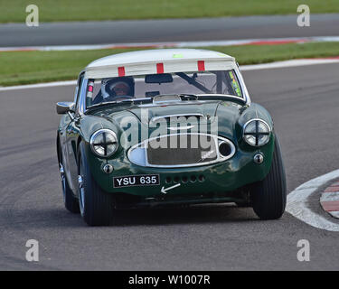 Markieren Pangborn, Harvey Woods, Austin Healey 3000, GT und Sportwagen Cup, Pre-66 GT Autos, Pre-63 Sportwagen, Donington historische Festival, Mai 2019, Motor Stockfoto