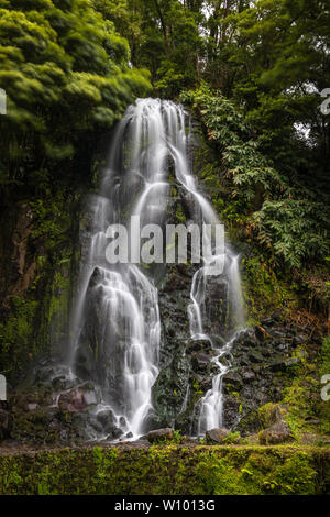 Natural Dos Caldeiroes Park im Norden der Insel Sao Miguel, Azoren Archipel, Portugal Stockfoto