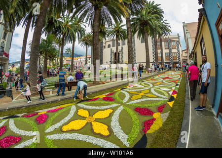 La Orotava, Teneriffa, Spanien - Juni 27., 2019. Schöne Blumenteppiche in La Orotava in Corpus Christi. Berühmte religiöse Veranstaltung und Wettbewerb Der f Stockfoto