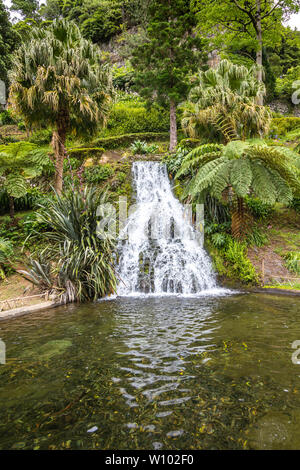 Natural Dos Caldeiroes Park im Norden der Insel Sao Miguel, Azoren Archipel, Portugal Stockfoto