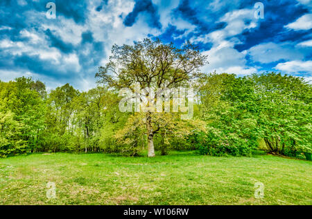 Munk wiesen Naturschutzgebiet im Bereich Lidkoping Stockfoto