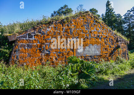 Altes Haus überwachsen orange Flechten, Sao Miguel, Azoren Archipel, Portugal Stockfoto
