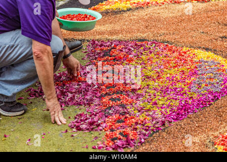La Orotava, Teneriffa, Spanien - Juni 27., 2019. Schöne Blumenteppiche in La Orotava in Corpus Christi. Bunte Blütenblätter, Zweige, Nadeln, siehe Stockfoto
