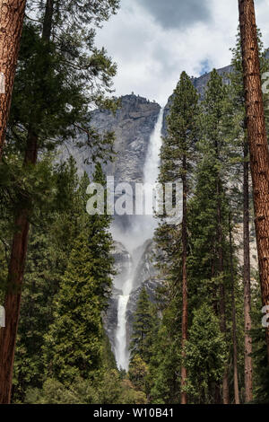 Yosemite Falls im Yosemite-Nationalpark, Kalifornien, USA Stockfoto