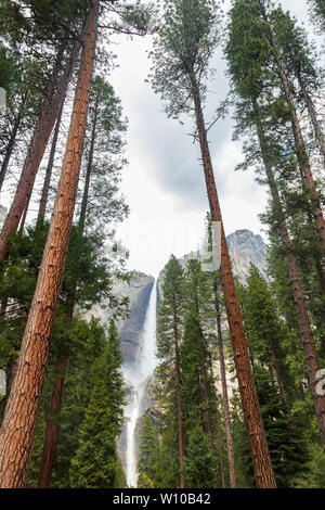 Yosemite Falls im Yosemite-Nationalpark, Kalifornien, USA Stockfoto