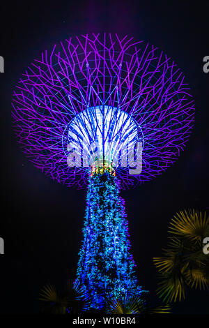 Singapur - Mar 19, 2019: Supertree Grove Singapur. Für die Form und Funktion von Bäumen zu spiegeln, die meisten kommen mit umweltfreundlichen Nachhalt Stockfoto