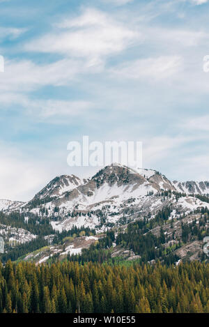 Blick auf die schneebedeckten Berge der Wasatch Range der Rocky Mountains, in der Nähe von Park City, Utah Stockfoto