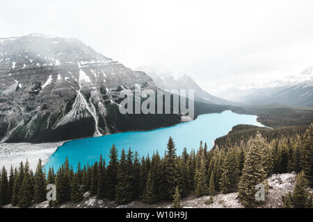 Türkis Peyto Lake im Banff National Park, Kanada. Mountain Lake als 'Fox Head' ist beliebt bei Touristen Stockfoto