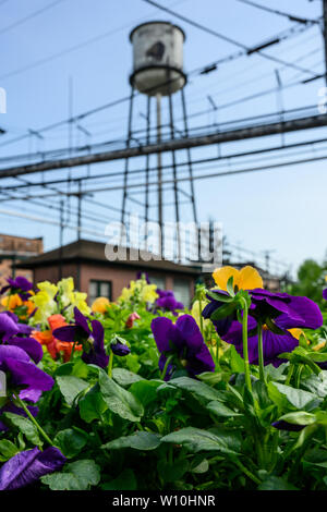 Frankfurt, Kentucky, United States; 2. Mai 2019: Der Mai im Buffalo Trace Stockfoto