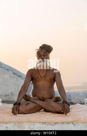 Sadhu Üben Yoga, Allahabad Kumbh Mela, der weltweit größte religiöse Versammlung, Uttar Pradesh, Indien Stockfoto