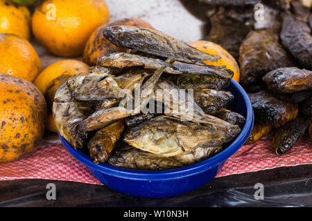 Geräucherter tilapia auf dem Markt in Mosambik verkauft Stockfoto