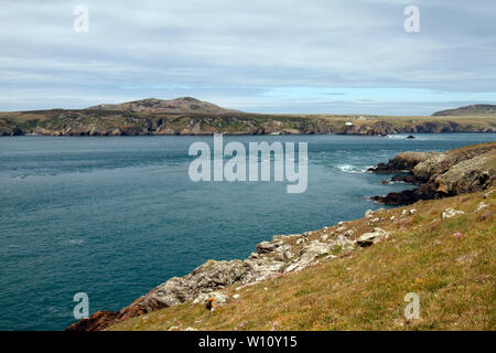 Ramsey Ramsey Insel über den Sound von Pembrokeshire Coastal Path. Wales, Großbritannien Stockfoto