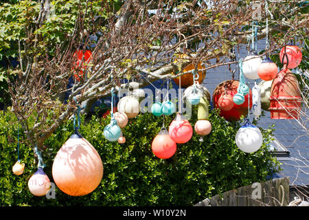 Rauszuschwimmen hängen in einem Baum als Teil eines Garten Dekoration. Pembrokeshire Wales, Großbritannien Stockfoto