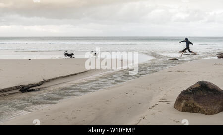 Mit der Hunde Glencairn Strand auf Südafrika der False Bay Küste, in der Nähe von Kapstadt, in den Wintermonaten des Landes Stockfoto