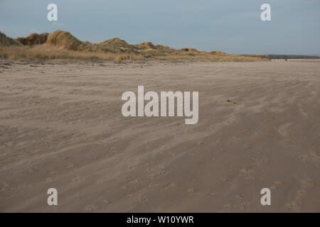 Blasen von Sand entlang der Dünen von West Sands Beach, St. Andrews, Fife, Schottland. Stockfoto