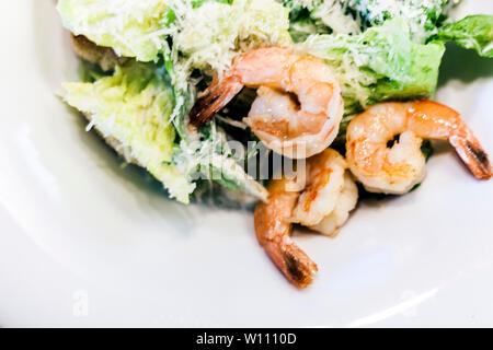 Caesar Salat mit Garnelen auf weiße Platte im Restaurant Stockfoto