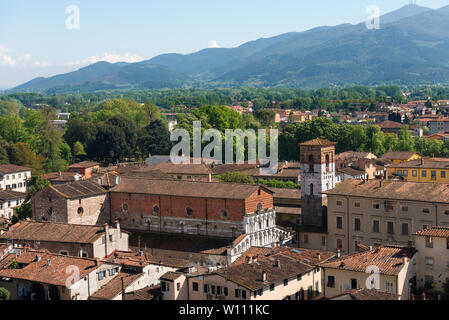 Luftaufnahme der Stadt von Lucca, Toscana (Toskana), Italien, mit der Kirche von Santa Maria Forisportam (XII Jahrhundert). Blick vom Torre Guinigi Stockfoto