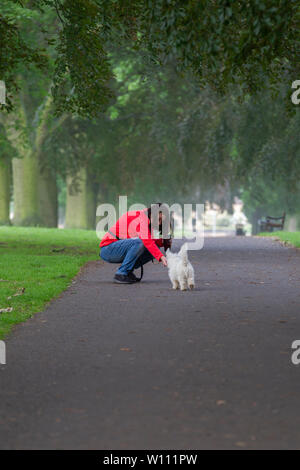 Northampton GROSSBRITANNIEN. 29. Juni 2019. Wetter. Abington Park. Am frühen Morgen Nebel gelöscht, Hund Wanderer in der kühlen Luft am Morgen vor der Hitze des Tages, wie es prognostiziert wird, um später auf heiß. Credit: Keith J Smith./Alamy leben Nachrichten Stockfoto