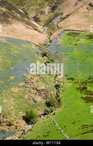 Mit Blick auf Rannerdale Beck und Fjells von Bluebells von Rannerdale Knotts, Lake District National Park, Cumbria, England, Großbritannien bedeckt Stockfoto