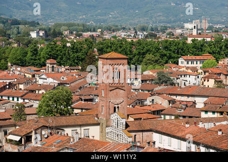 Luftbild der mittelalterlichen Stadt Lucca, Toscana (Toskana), Italien, mit der Kirche San Pietro Somaldi. Blick vom Torre Guinigi Stockfoto