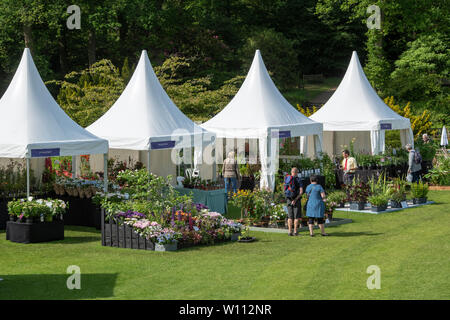 Gärtnerei steht an RHS Harlow Carr flower show. Harrogate, England Stockfoto