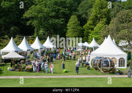 Gärtnerei steht an RHS Harlow Carr flower show. Harrogate, England Stockfoto