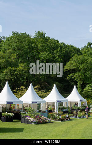 Gärtnerei steht an RHS Harlow Carr flower show. Harrogate, England Stockfoto