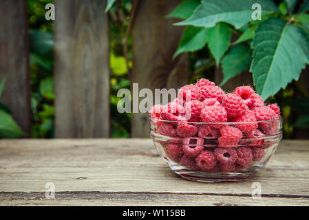 Süße frische Himbeeren in einer Petrischale auf Holz rustikale Hintergrund mit einer Kopie Raum Stockfoto