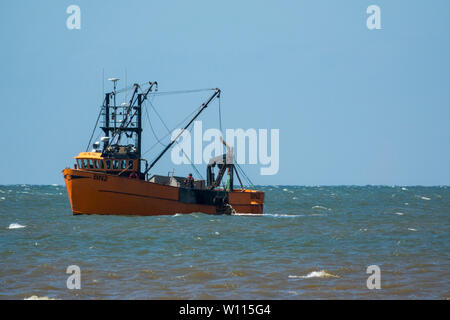 Meer Hund BN2 Beam Trawler Stockfoto