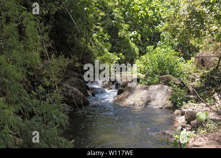 Kleiner Bach in Volcan Baru National Park Panama Stockfoto