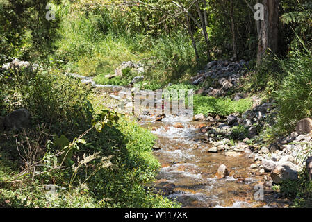 Kleiner Bach in Volcan Baru National Park Panama Stockfoto