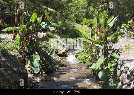 Kleiner Bach in Volcan Baru National Park Panama Stockfoto