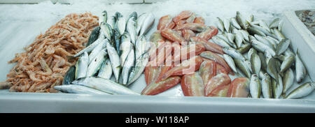 Authentische Bio-lebensmittel. Meeresfrüchte Italiener delishes in Fischmarkt Stockfoto