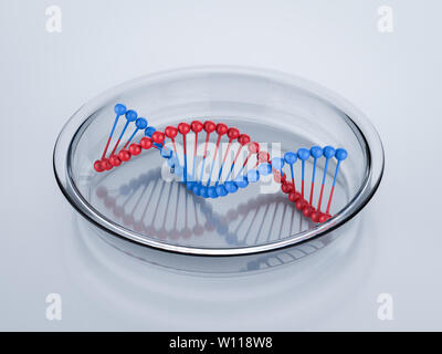 3D-rendering Rot und Blau DNA-Helix Struktur Stockfoto
