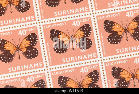 Surinam - ca. 1980: einen Stempel in Suriname gedruckt zeigt ein Schmetterling, ca. 1980 Stockfoto