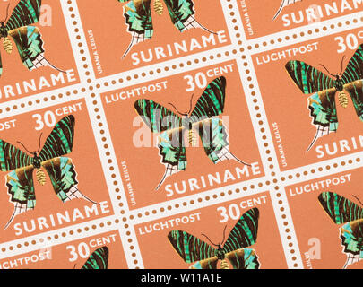 Surinam - ca. 1980: einen Stempel in Suriname gedruckt zeigt ein Schmetterling, ca. 1980 Stockfoto