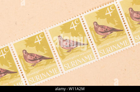 Surinam - ca. 1980: einen Stempel in Suriname gedruckt zeigt einen Vogel, ca. 1980 Stockfoto