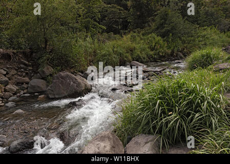 Kleiner Bach in Volcan Baru National Park Panama Stockfoto