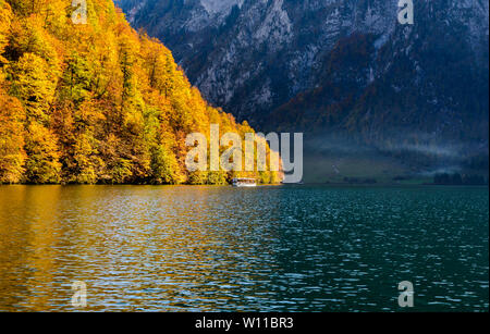 Schöne Aussicht am Konigssee (Königssee, Königsee, Konigssee, Königssee, Koenigssee, Konig) See im Herbst. gelbe Bäume. Nationalpark Berchtesgaden Par Stockfoto