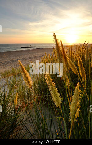 Sonnenaufgang an der Ostsee, Dünen von der Morgensonne beleuchtet. Stockfoto