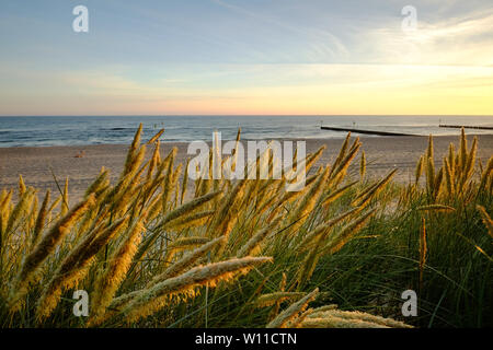 Sonnenaufgang an der Ostsee, Dünen von der Morgensonne beleuchtet. Stockfoto