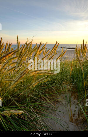 Sonnenaufgang an der Ostsee, Dünen von der Morgensonne beleuchtet. Stockfoto