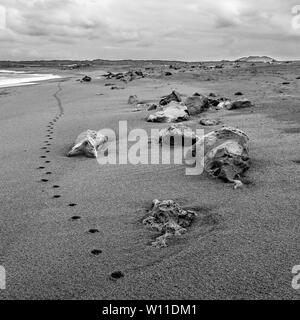 Isolierte Strand in Schwarz und Weiß mit Spuren von Spuren weg und Felsen Stockfoto