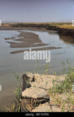 Rechter Fluss am Ufer - Keriya fließt nordwärts in die Taklamakan-Wüste. Xinjiang-China-0217 Stockfoto