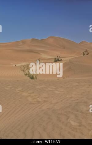 Verschieben von Sanddünen - Takla Makan Desert. Yutian Keriya County-Xinjiang Uyghur Region-China-0230 Stockfoto